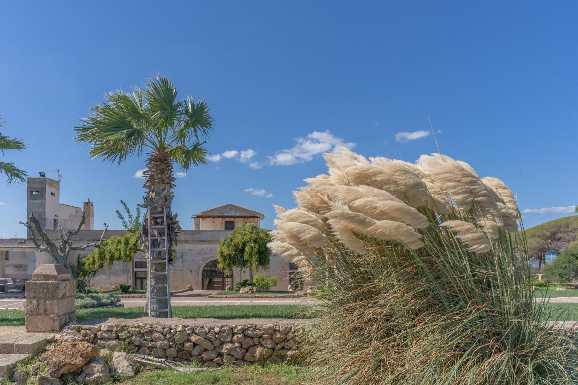 Masseria Casina Bellanova 포르토 세자레오 외부 사진